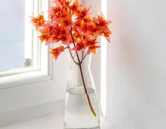 Apartman Corfos Blue Mykonos